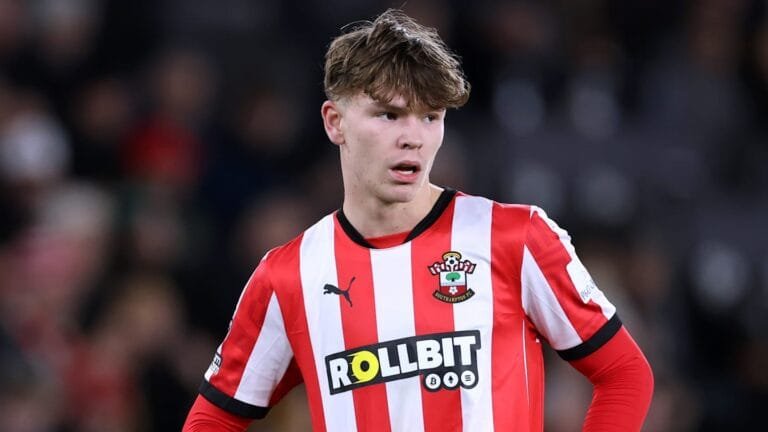 Man City & Tottenham face rival interest in Southampton star